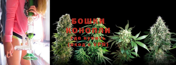ГАЛЛЮЦИНОГЕННЫЕ ГРИБЫ Иннополис