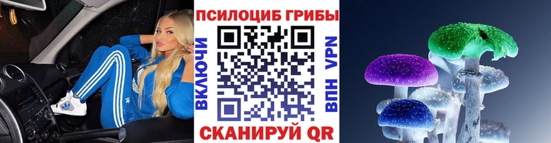 Псилоцибиновые грибы Magic Shrooms  Купить где  Руза 